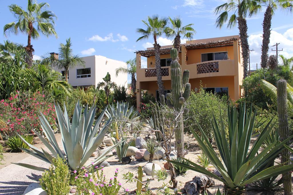 Hotel Posada La Poza Todos Santos Exterior foto