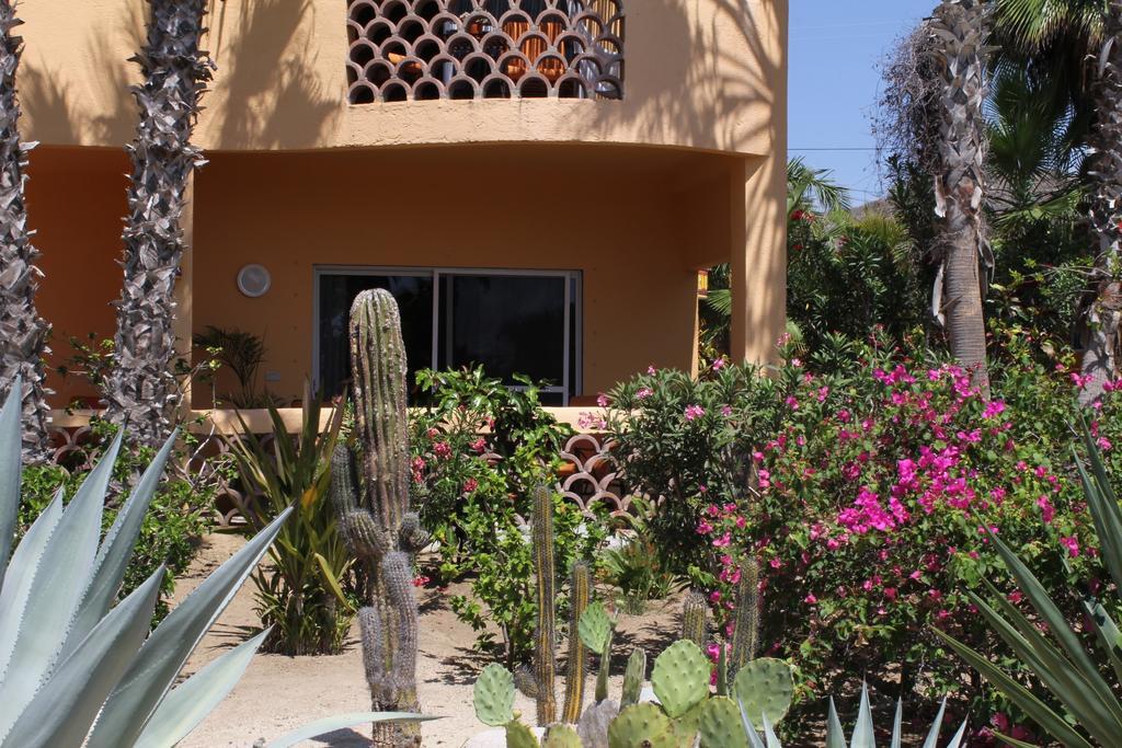 Hotel Posada La Poza Todos Santos Habitación foto