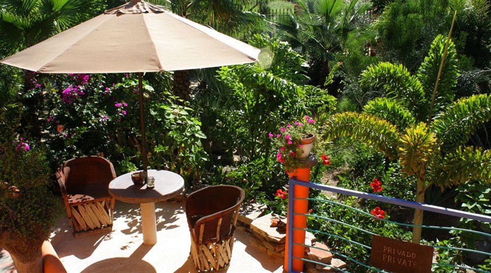 Hotel Posada La Poza Todos Santos Exterior foto