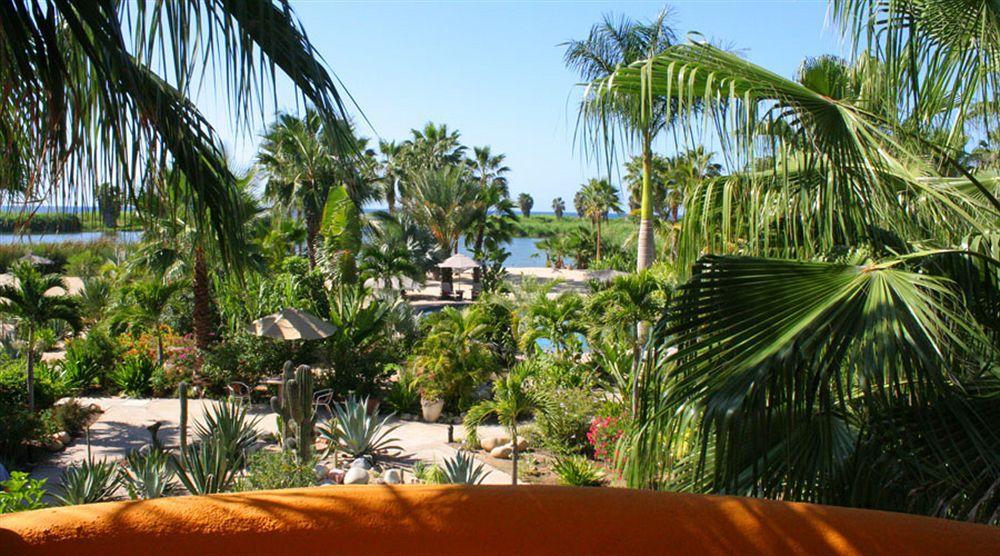 Hotel Posada La Poza Todos Santos Exterior foto